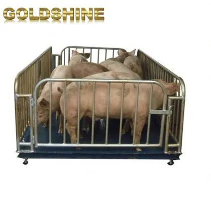 Livestock Weigh Scales: Pigs, Sheep, and Lambs