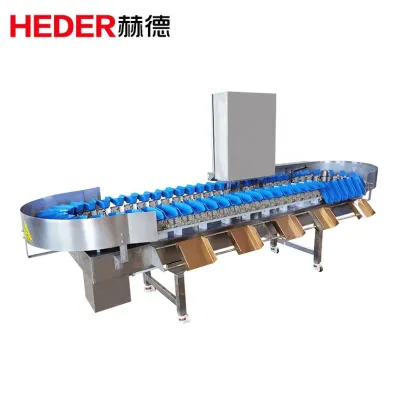 Kiwi Fruit and Vegetable Weight Sorting Grading Machines