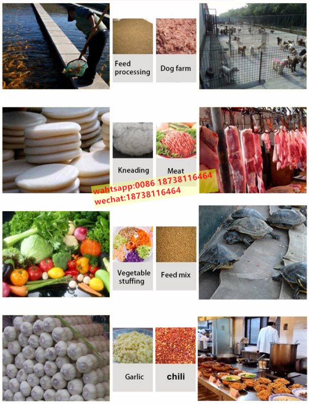 Frozen Meat Grinder Mincer Cutter for Dried Ginger, Garlic, and Poultry Bone Crushing