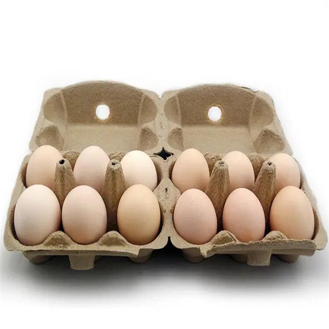 egg box machine (1)
