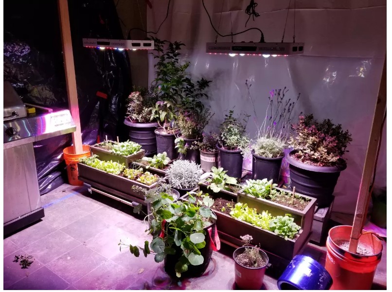 Energy Save Grow Lights for Small Greenhouse