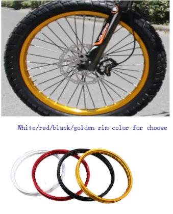 Leili Enduro 5000W Electric Bike with Brushless Hi-Speed Motor