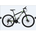 TW-70Mountain Bike with 21 Speed Suspension Fork