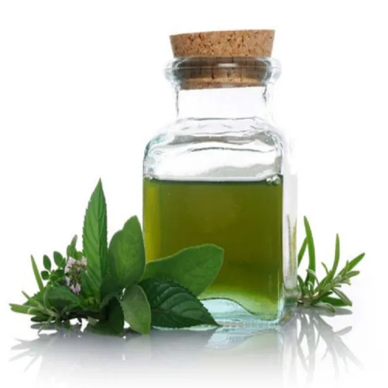 Distillation Extract Food Additive Peppermint Essential Oil