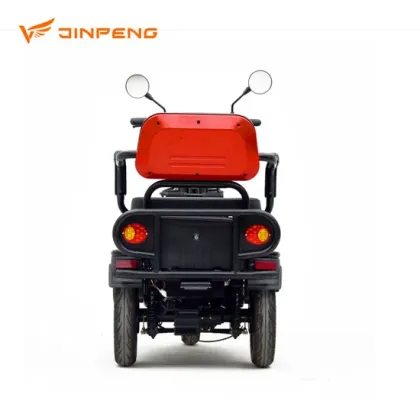 China Electric Three Wheeler: Tuk Tuk, Adult Pedicab, and E-Rickshaw Tricycles