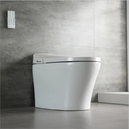 Mobile Intelligent Toilet Solutions