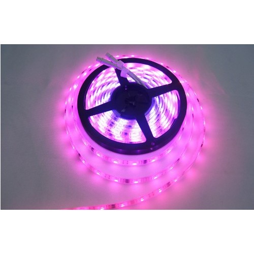 led strip 5050 rgbw build in IC programmed lighting