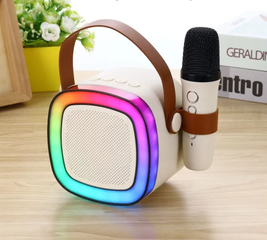 Hot Selling Portable Mini Bluetooth Speaker with Karaoke Microphone for Outdoors