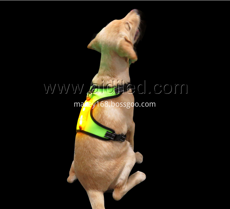 Usb Recharge Dog Harness Usb Recharge Dog Harness