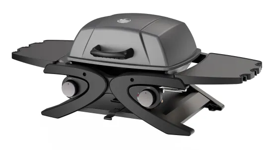 Portable Gas Grill Tabletop Propane Outdoor Camping Grill BBQ Grill with Two Burners