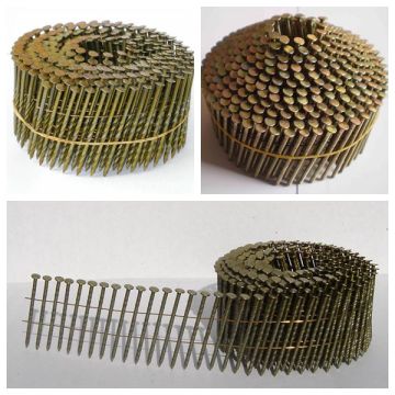 Galvanized Common Coil Nail