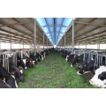 Monodicalcium Phosphate 21% in Animal Nutrition