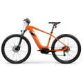 Bicicleta de montaña eléctrica personalizada