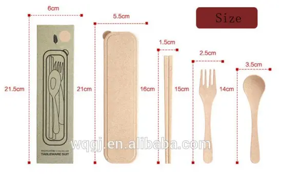 New Design fork and spoon travel set Plastic Materials