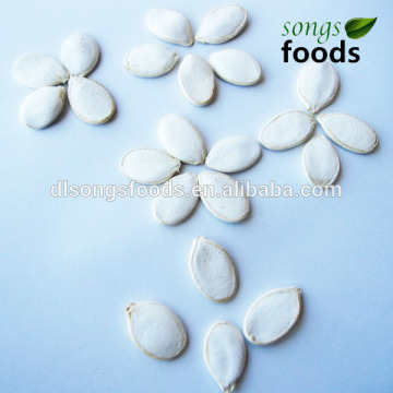 Chinese Agriculture for Pumpkin Seeds