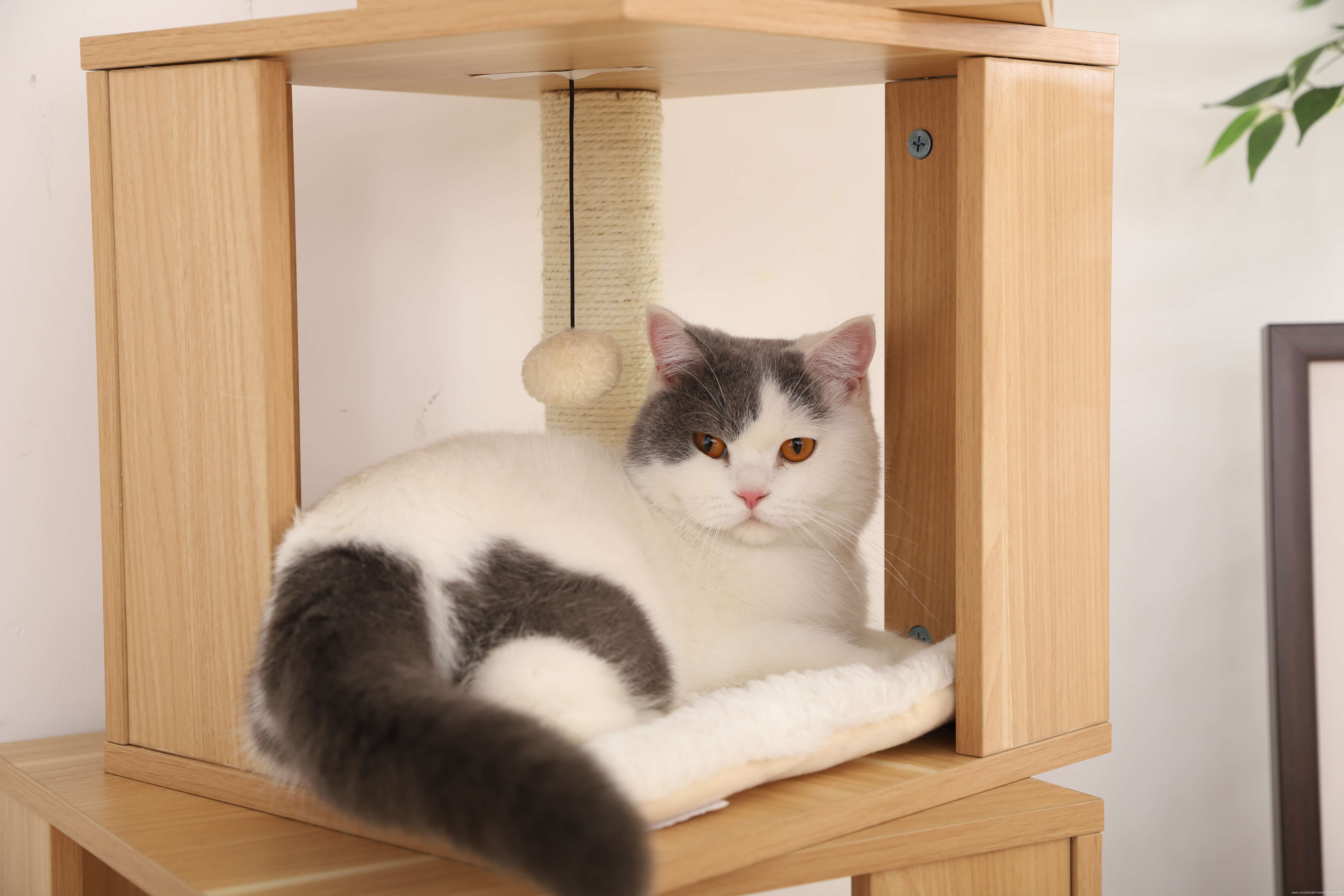 360 Degree Rotating Boxes Adequate Space Cat Furniture