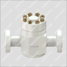 Lift Check Valve