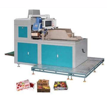 Automatic Carton Box Making Machine for Avocado and Citrus Tray Former Cardboard