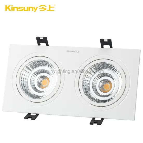 Double Heads Square 2x7W COB LED Downlight: Search Engine Title