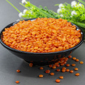 New Crops Legurme Dry Product Red Lentils