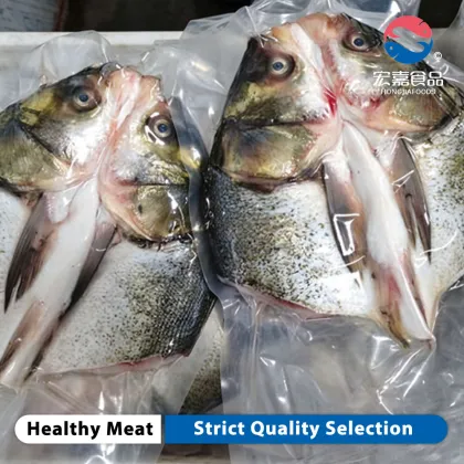 Frozen Silver Carp Fish Head