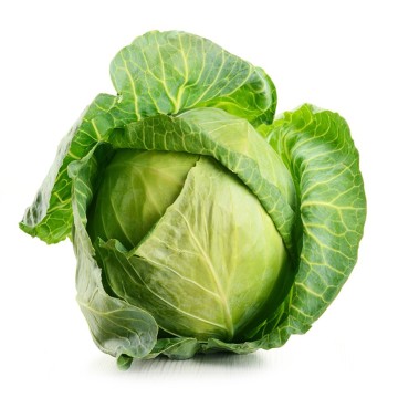 Round Fresh Cabbages round cabbage from China