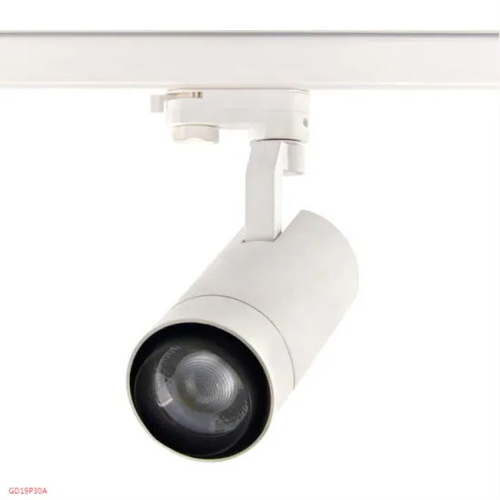 RONSE Adjustable Minimalist LED Track Light