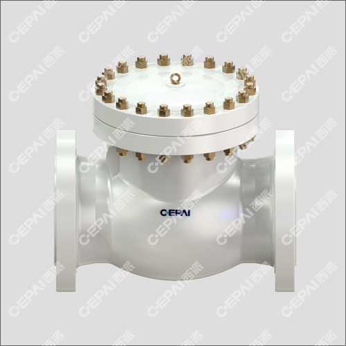 Casting Swing Check Valve