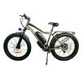 Bicicleta eléctrica de largo alcance de estilo fresco citycoco