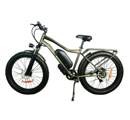 off road colorful big wheel electric bicycle