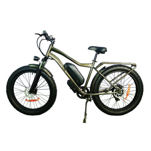 citycoco cool styling long range electric bicycle