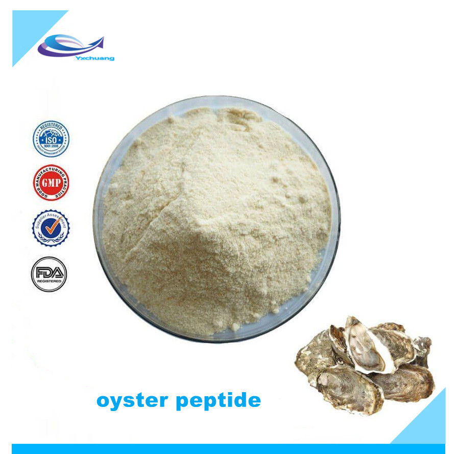 oyster bioactive peptides