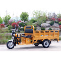 Auto Carry Load Goods Electrical Cargo Tricycles