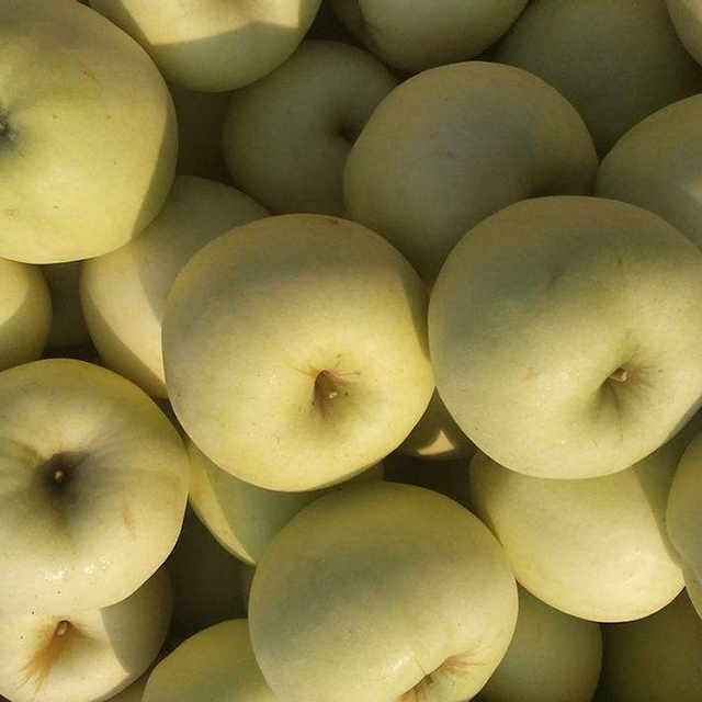 Bulk Golden Delicious