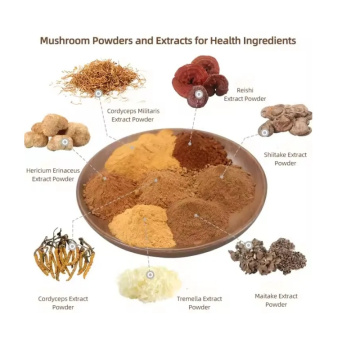 Solanum Lycopersicum Leaf Extract - Wholesale 10:1 for Nutraceuticals