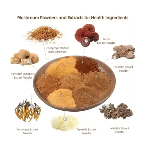 Solanum Lycopersicum Leaf Extract - Wholesale 10:1 for Nutraceuticals