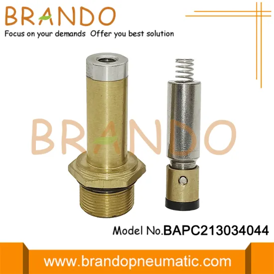 Automotive LPG CNG Reducer Solenoid Armature Assembly