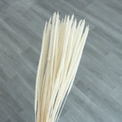 Wholesale Colourful Kirin Grass for Wedding and Home Decoration