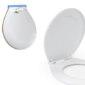 Toilet Seat with Easy Clean Change Hinges