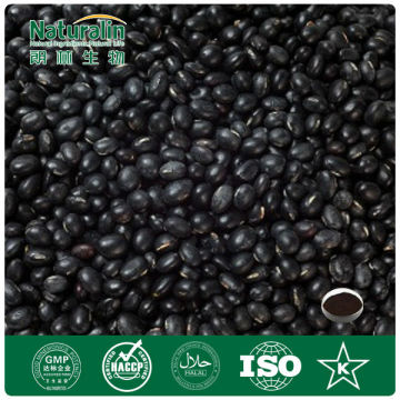 Black Bean Extract