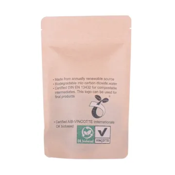Stand up compostable paper bag with clear window