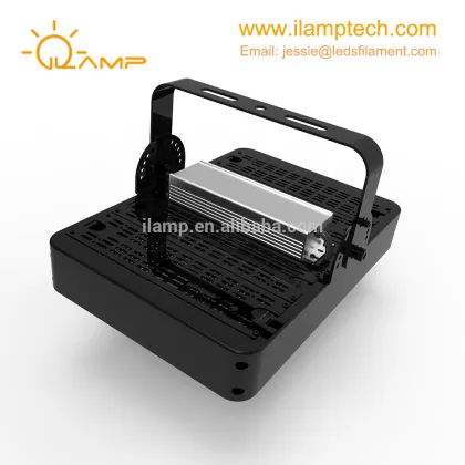High lumen P hilips Lumileds COB IP65 Waterproof Outdoor 250w led flood light