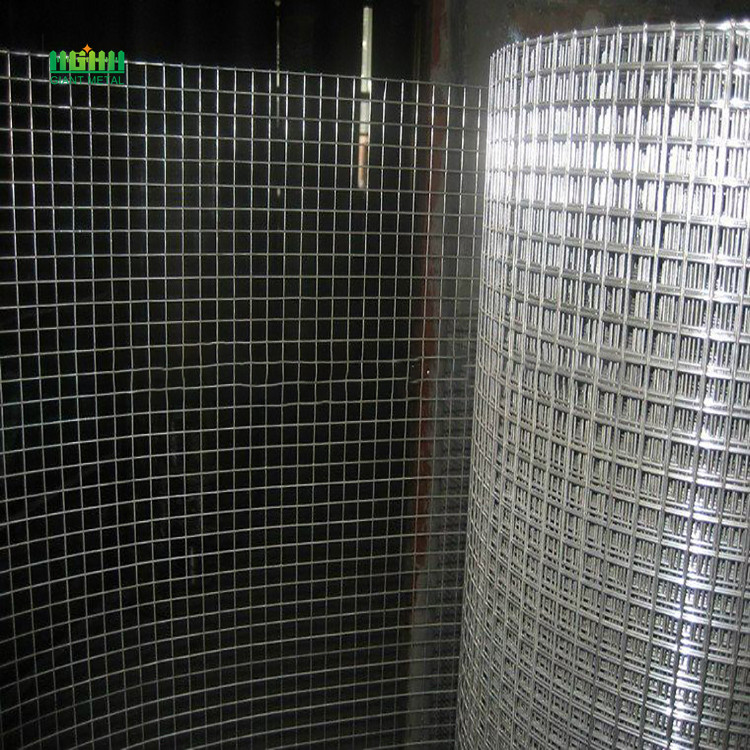 Welded wire  mesh rolls