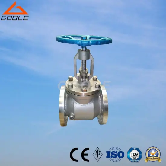Stainless Steel Flange Jacket Globe Valve (GABJ41H)