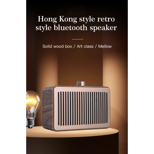 Outdoor Portable Speaker Wireless Bluetooth With TF Card