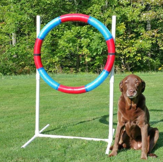 Dog Agility Practice Tire