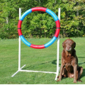 Lightweight Agility Practice Tire for dog