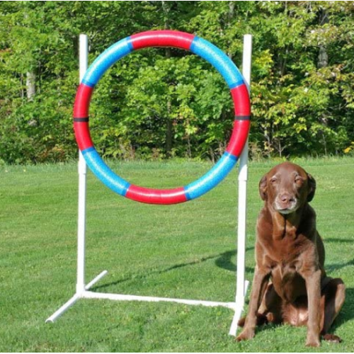 Leichter Agility-Praxis-Reifen für Hund