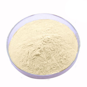 Apigenin Powder