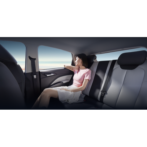 Pure electric SUV Neta AYA